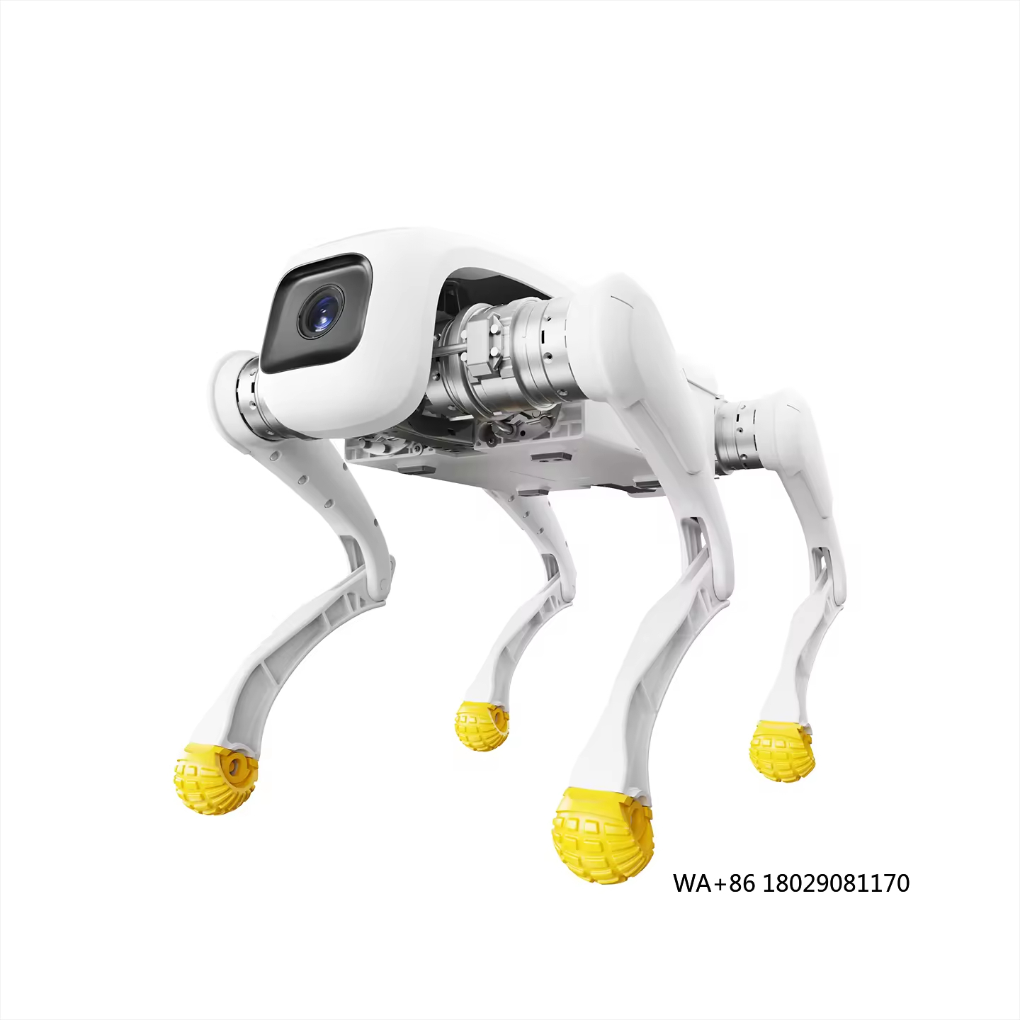 Electronics & Gadgets Starting With C - Robot para perros de diseño, juguete