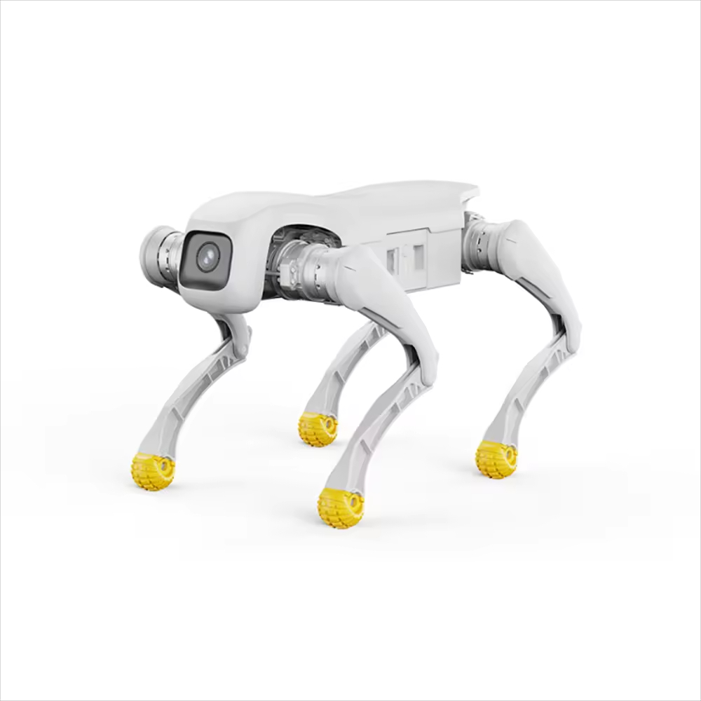 Robot para perros de diseño, j - Electronics & Gadgets Starting With C reseña y precio
