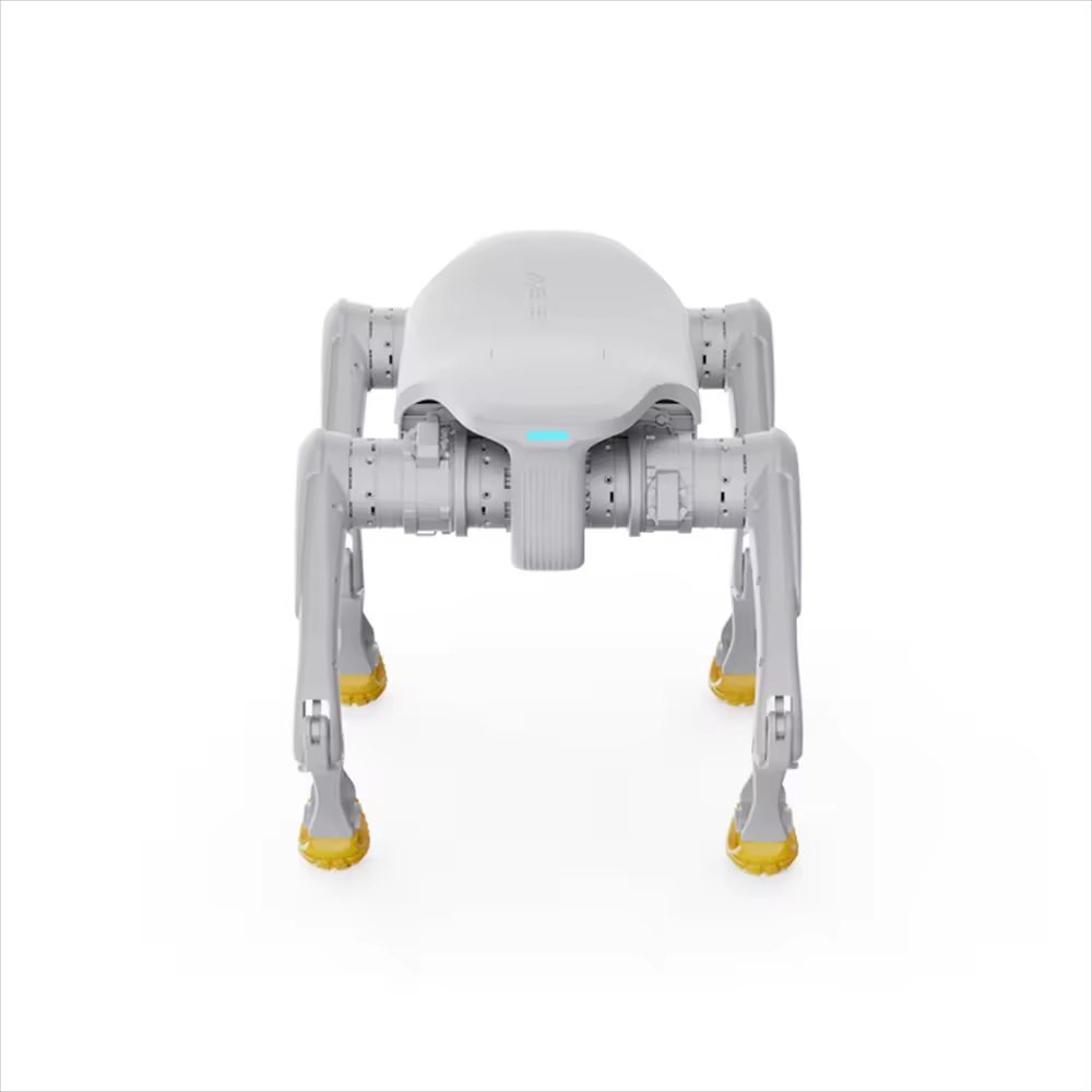 Robot para perros de diseño, j - Electronics & Gadgets Starting With C reseña y precio